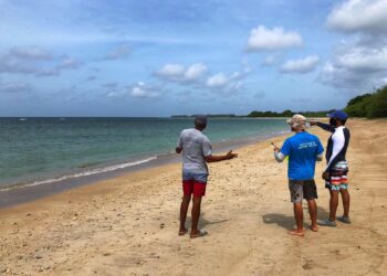 IMA’s Marine Data Hub: supporting local research