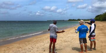 IMA’s Marine Data Hub: supporting local research