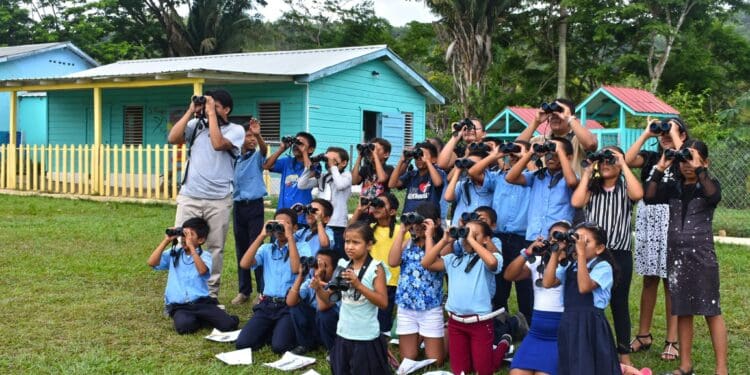 How birding supports conservation and community engagement at St. Herman’s Blue Hole National Park (Part 1)