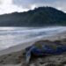 Grande Riviere Beach: A dynamic coastline that requires coastal zone planning