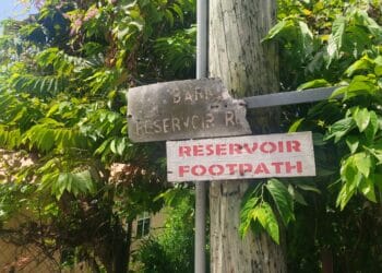 One group’s mission to transform Antigua’s “forgotten” reservoir