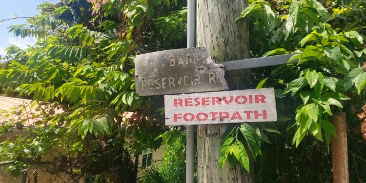 One group’s mission to transform Antigua’s “forgotten” reservoir