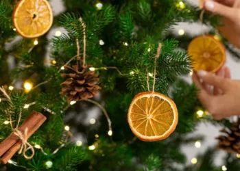 With holidays in full swing: “Be mindful of your ecological footprint”