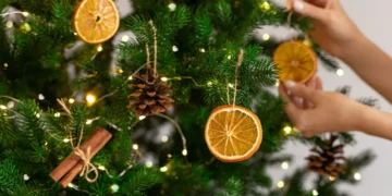 With holidays in full swing: “Be mindful of your ecological footprint”