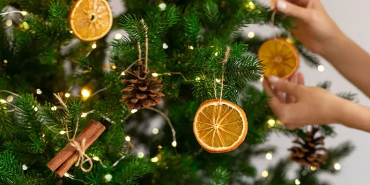 With holidays in full swing: “Be mindful of your ecological footprint”
