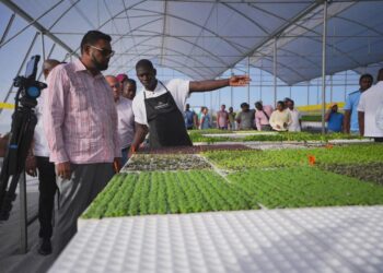 The role of climate-smart agriculture in Guyana’s push to reduce food imports