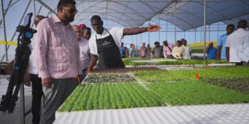 The role of climate-smart agriculture in Guyana’s push to reduce food imports