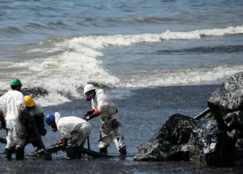 Tobago oil spill affects Lambeau fisherfolk and restaurants