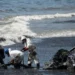 Tobago oil spill affects Lambeau fisherfolk and restaurants