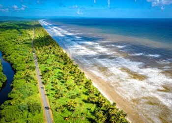 With a surge of beachgoers expected for Carnival: “Be mindful of harmful algal blooms”