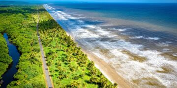 With a surge of beachgoers expected for Carnival: “Be mindful of harmful algal blooms”