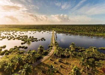 Reflecting on the decline of Trinidad and Tobago’s wetlands