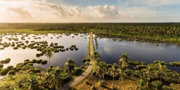 Reflecting on the decline of Trinidad and Tobago’s wetlands