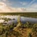Reflecting on the decline of Trinidad and Tobago’s wetlands