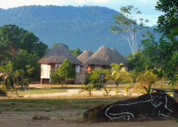Guyana’s rainforests play a central role in expanded ecotourism efforts