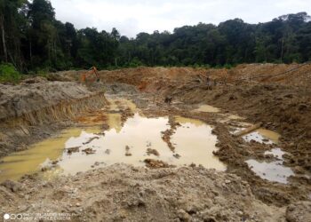 How illegal gold mining affects Suriname’s Wayana Indigenous Territory 