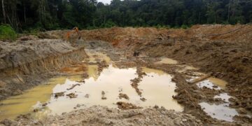 How illegal gold mining affects Suriname’s Wayana Indigenous Territory 