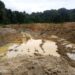 How illegal gold mining affects Suriname’s Wayana Indigenous Territory