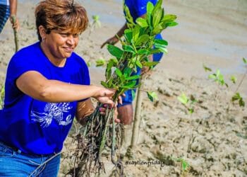 Is it feasible to use Blue Carbon to finance mangrove conservation in Trinidad and Tobago? 