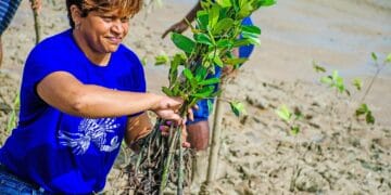 Is it feasible to use Blue Carbon to finance mangrove conservation in Trinidad and Tobago? 