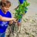 Is it feasible to use Blue Carbon to finance mangrove conservation in Trinidad and Tobago? 