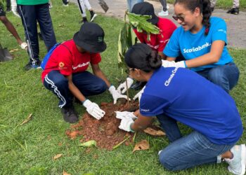 To boost school’s climate resilience: La Brea students plant vetiver grass and trees