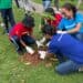 To boost school’s climate resilience: La Brea students plant vetiver grass and trees