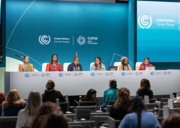 The UN Climate Conference: a space where minds meet