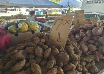 Farmers in New Grant navigate a changing climate
