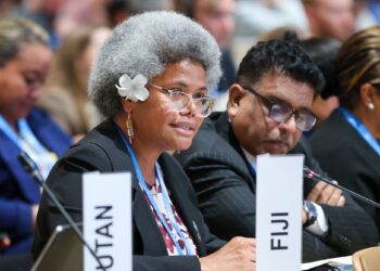 What role did SIDS play at the 2024 UN Climate Conference?