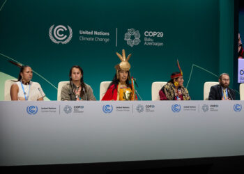 SIDS use UN Climate Conference to voice concerns