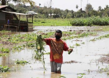 Las Lomas contends with frequent floods