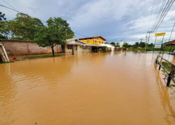 Williamsville residents reflect on warmer temperatures and floods