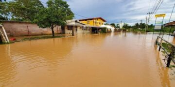 Williamsville residents reflect on warmer temperatures and floods