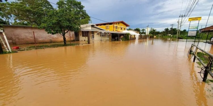 Williamsville residents reflect on warmer temperatures and floods
