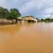 Williamsville residents reflect on warmer temperatures and floods