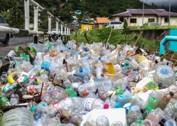 PERSPECTIVES: One Trinidadian’s commentary on the country’s relationship with nature 