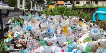 PERSPECTIVES: One Trinidadian’s commentary on the country’s relationship with nature 