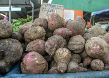 From cocoa to sweet potatoes: climate change affects Trinidad and Tobago’s agriculture 
