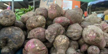 From cocoa to sweet potatoes: climate change affects Trinidad and Tobago’s agriculture 