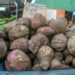 From cocoa to sweet potatoes: climate change affects Trinidad and Tobago’s agriculture