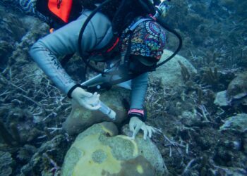 Assessing the effects of climate change on Trinidad and Tobago’s Biodiversity 