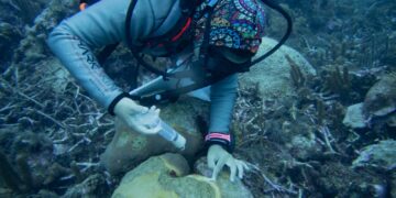 Assessing the effects of climate change on Trinidad and Tobago’s Biodiversity 