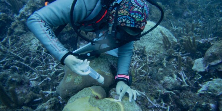 Assessing the effects of climate change on Trinidad and Tobago’s Biodiversity