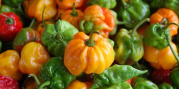 One Talparo farmer shares how climate change affects her operations