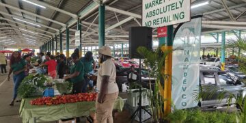 Brazil farmer: growing conditions “unpredictable”