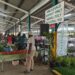 Brazil farmer: growing conditions “unpredictable”