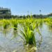 The delicate relationship between agriculture and climate change