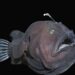 PERSPECTIVES: Why the ocean is a source of inspiration and imagination
